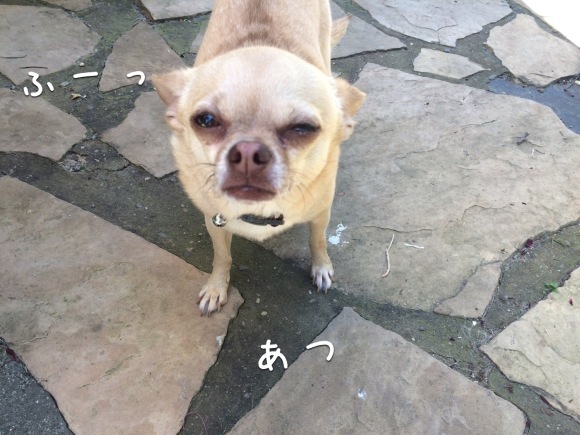 b0366211_04563099.jpeg