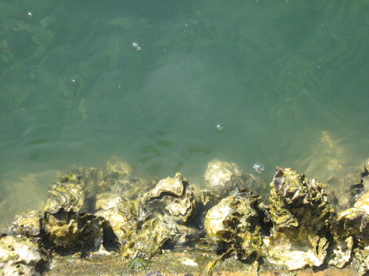 c0062511_21331752.jpg