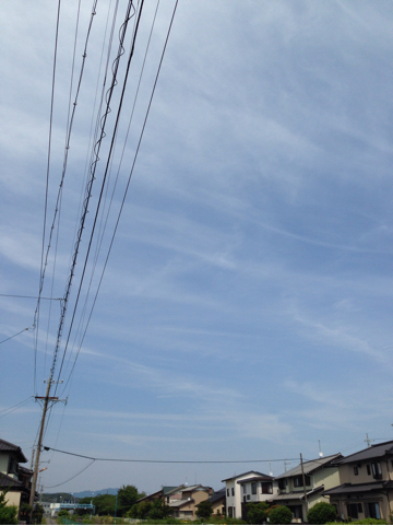 d0255514_14411202.jpg