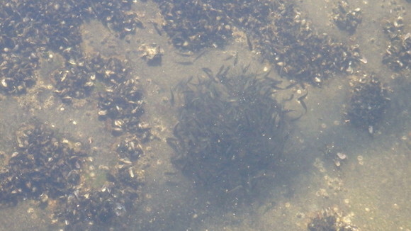 b0020017_21494441.jpg