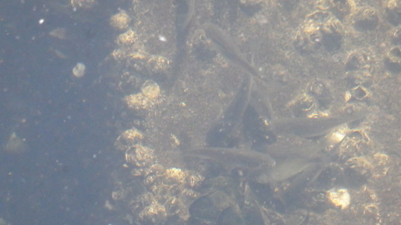 b0020017_2150444.jpg