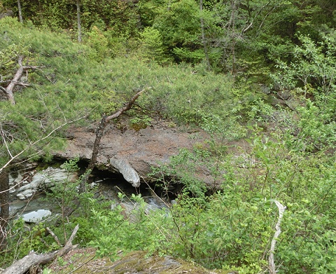 b0181818_8413835.jpg
