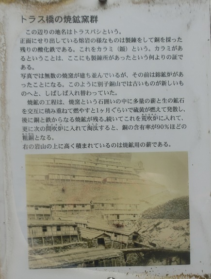 b0181818_84256.jpg
