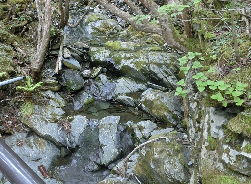 b0181818_8473455.jpg