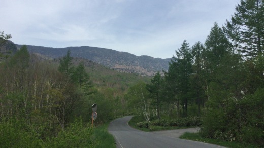 d0221319_18051941.jpeg