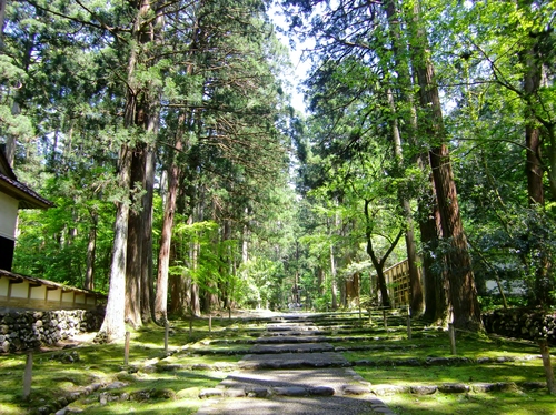 平泉寺白山神社（福井県勝山市）_c0219820_23195783.jpg