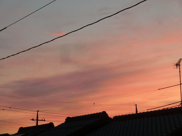 b0163121_22162070.jpg