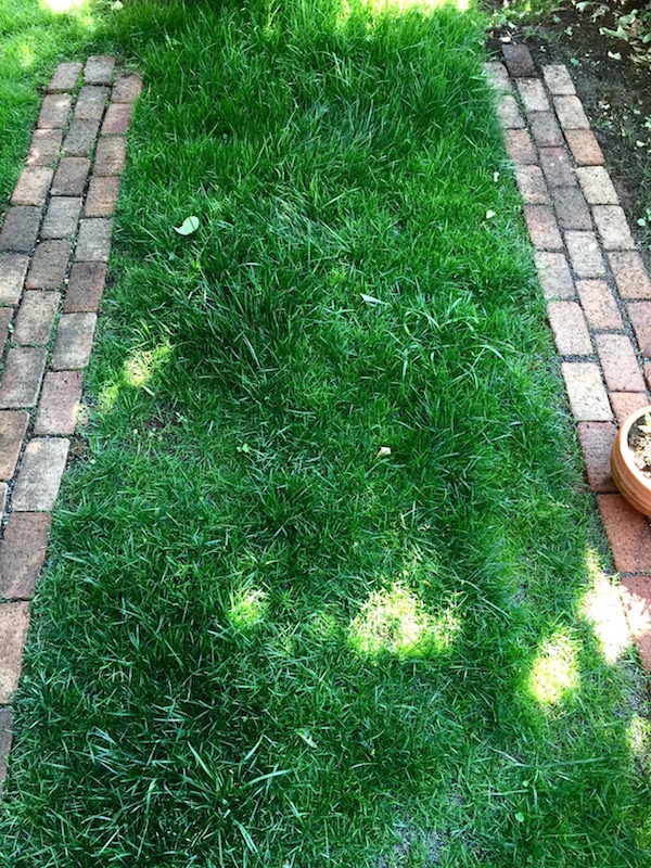 farmer_b0172633_9411523.jpg