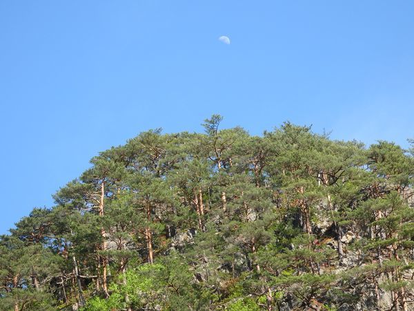 安家への旅「新緑が素晴らしすぎる…!」_b0206037_13341238.jpg