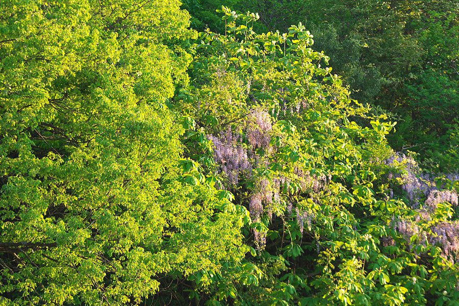 c0067040_23385490.jpg