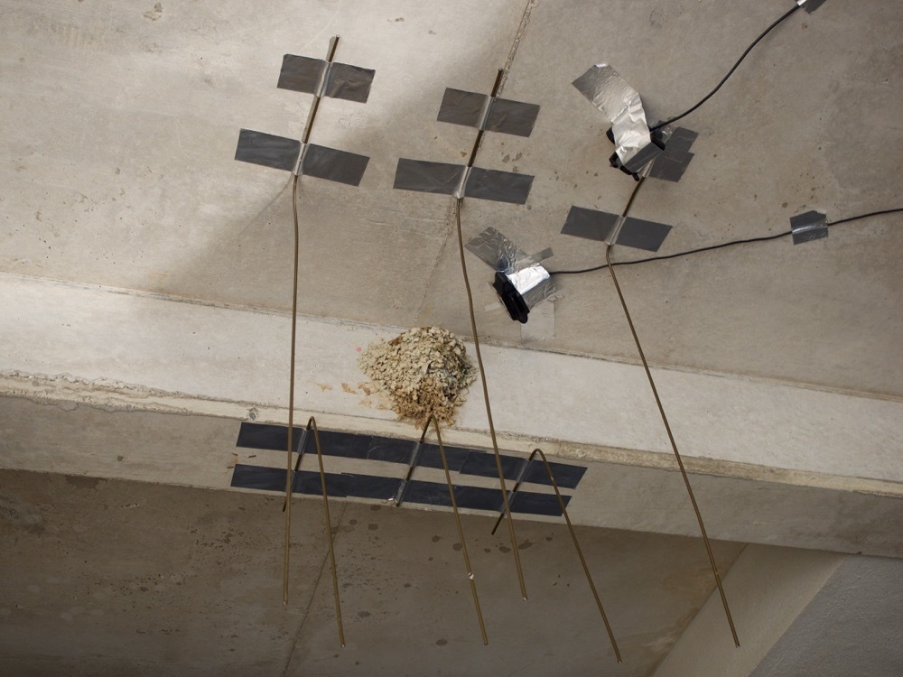 2016カラス ネコよけバリア モンスとツバメ2