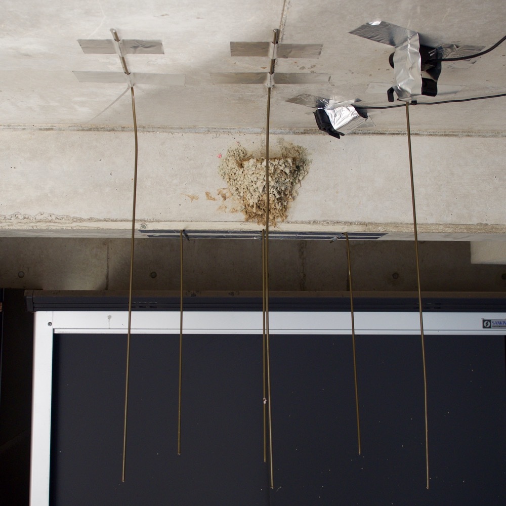 2016カラス ネコよけバリア モンスとツバメ2