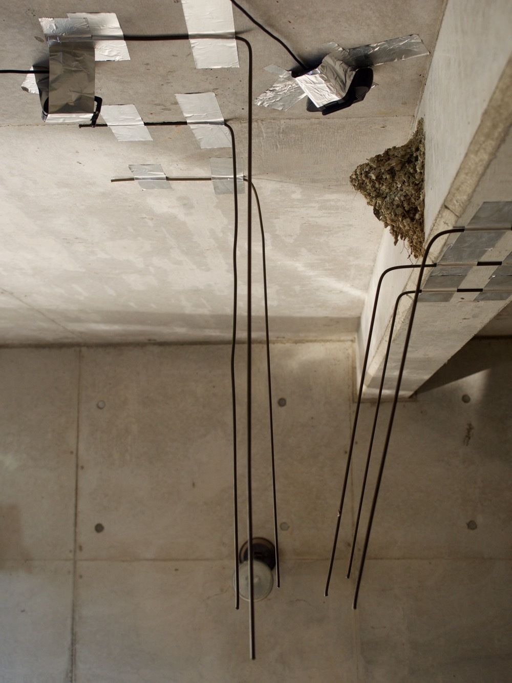 2016カラス ネコよけバリア モンスとツバメ2