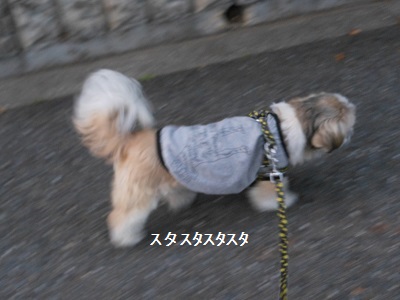 c0261346_2394721.jpg