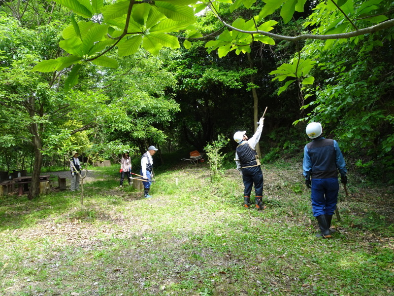 急斜面のアクロパット的草刈り　in 　うみべの森_c0108460_22102363.jpg