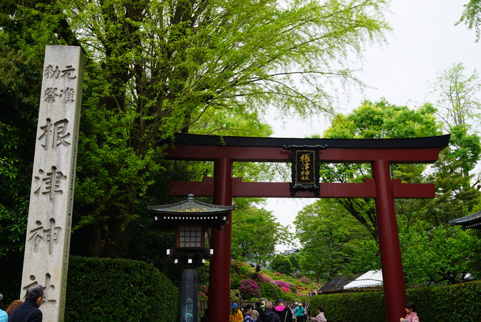 根津神社のつつじまつり☆１_d0152261_1813344.jpg