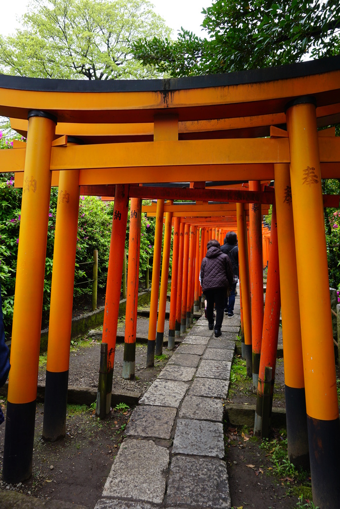 根津神社のつつじまつり☆１_d0152261_18155944.jpg