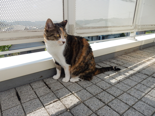’16,5,19(木)「生かされている幸せ!」_f0060461_10351750.jpg