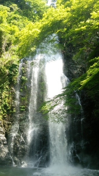2016年 5月 箕面大滝!_d0202264_09491907.jpg