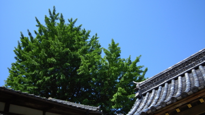 b0300769_18123280.jpg