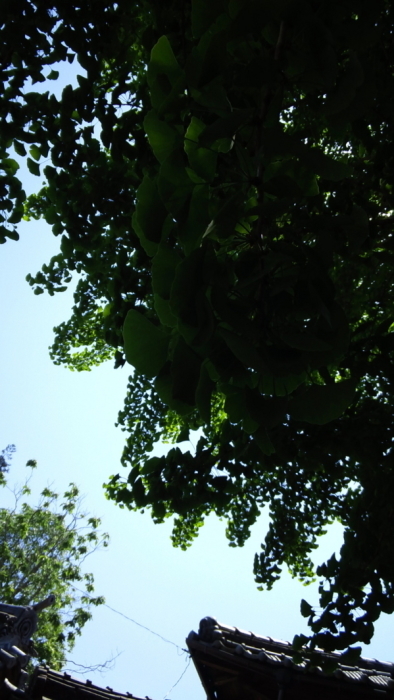 b0300769_18333984.jpg