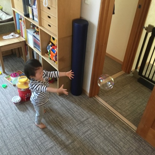 d0041575_21091329.jpeg