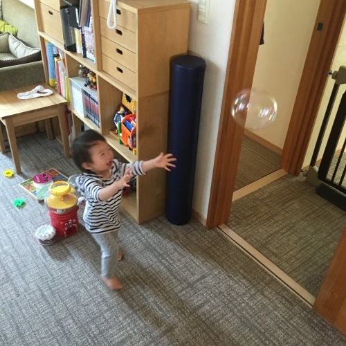 d0041575_21103168.jpeg