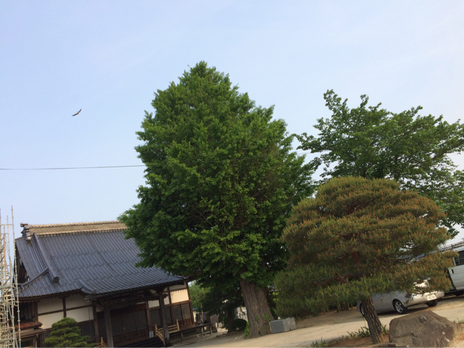 c0156981_23314011.jpg