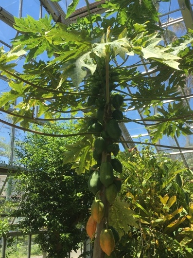 b0336787_01085510.jpeg