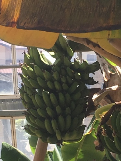 b0336787_01134331.jpeg