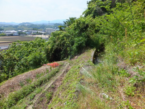 歩こう　池を見に行こう　（23）中池　　上原町_b0212898_09563684.jpg