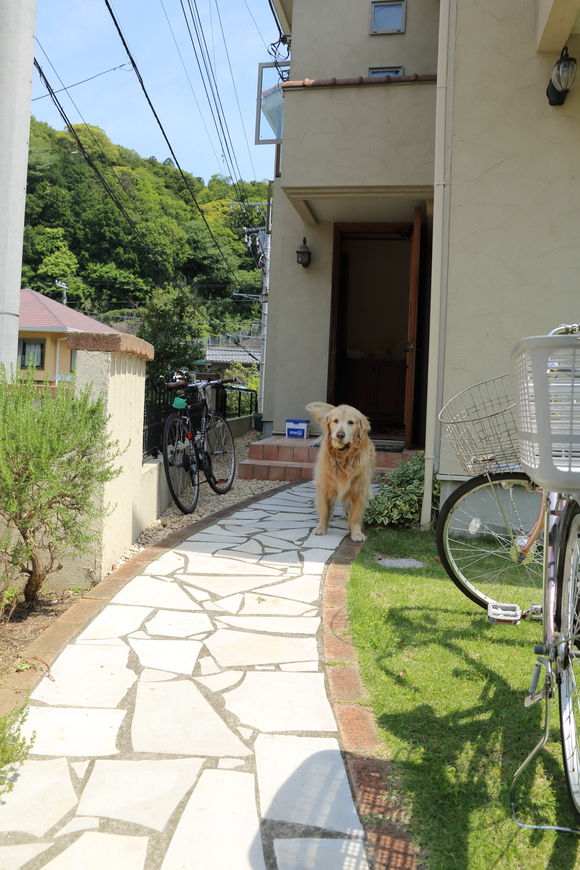 今年も北海道の東の端から♪_b0275998_11343022.jpg