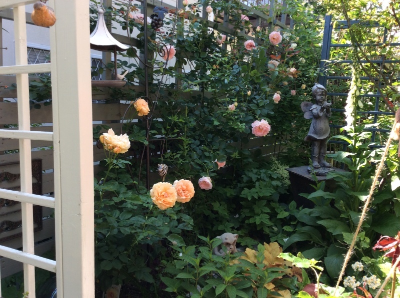 b0220002_20110514.jpeg