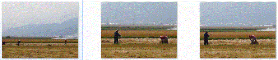 f0231709_22432415.gif