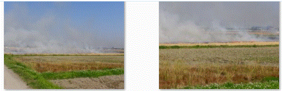 f0231709_22471229.gif