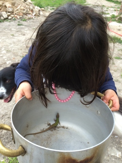 a0142810_14591930.jpeg