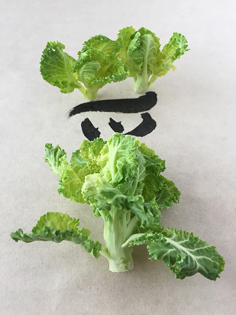 気になる野菜、プチベール_c0053520_184195.jpg