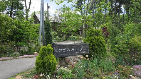 e0202031_22253319.jpg