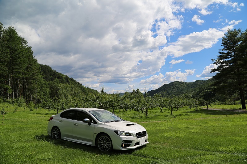 S207の慣らし運転_f0076731_19532640.jpg