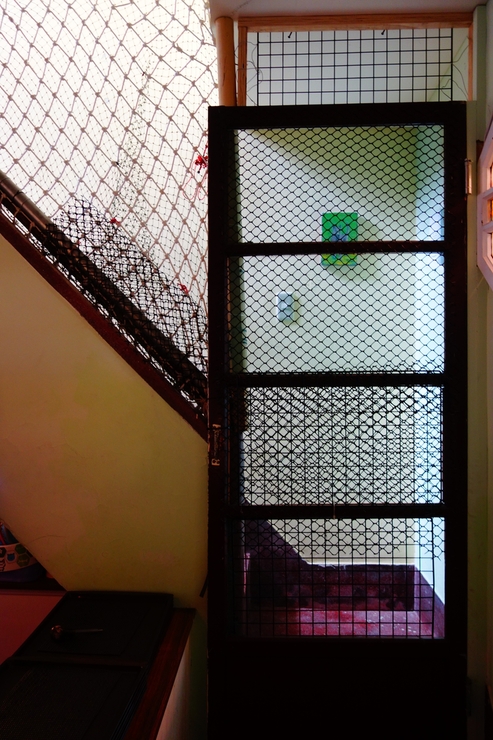 浪浪別哭 pet halfway house & cafe 台北市中山区/犬猫カフェ~台湾へ行きタイワーン 4日目 3_a0287336_2111517.jpg