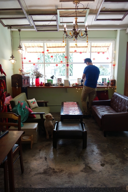 浪浪別哭 pet halfway house & cafe 台北市中山区/犬猫カフェ~台湾へ行きタイワーン 4日目 3_a0287336_2285363.jpg