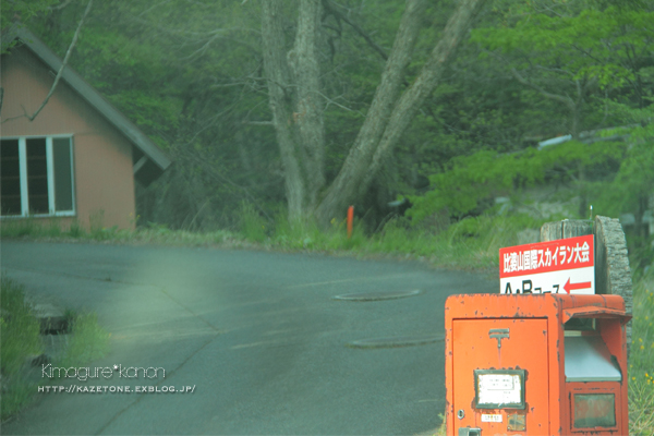 県森さんぽ♪②**カエデの花コレクション_b0197639_22265482.jpg