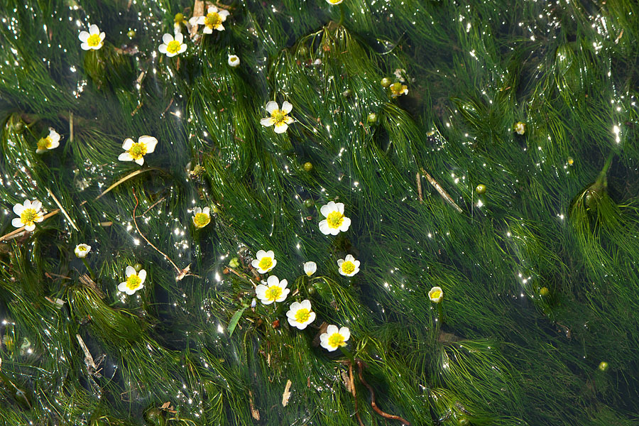 c0067040_23215771.jpg