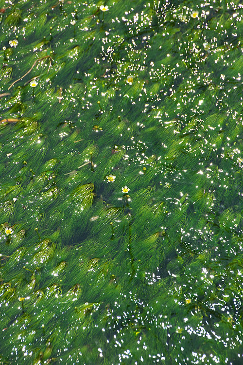 c0067040_23221054.jpg