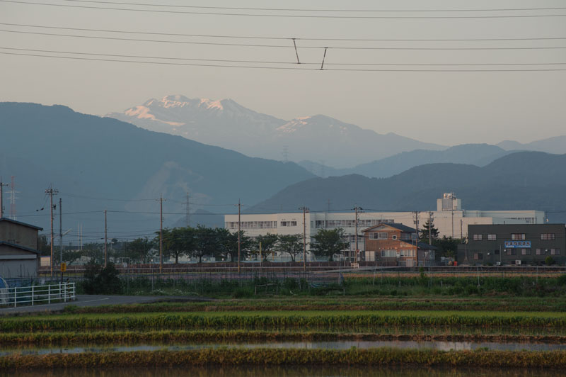 d0342652_5564924.jpg