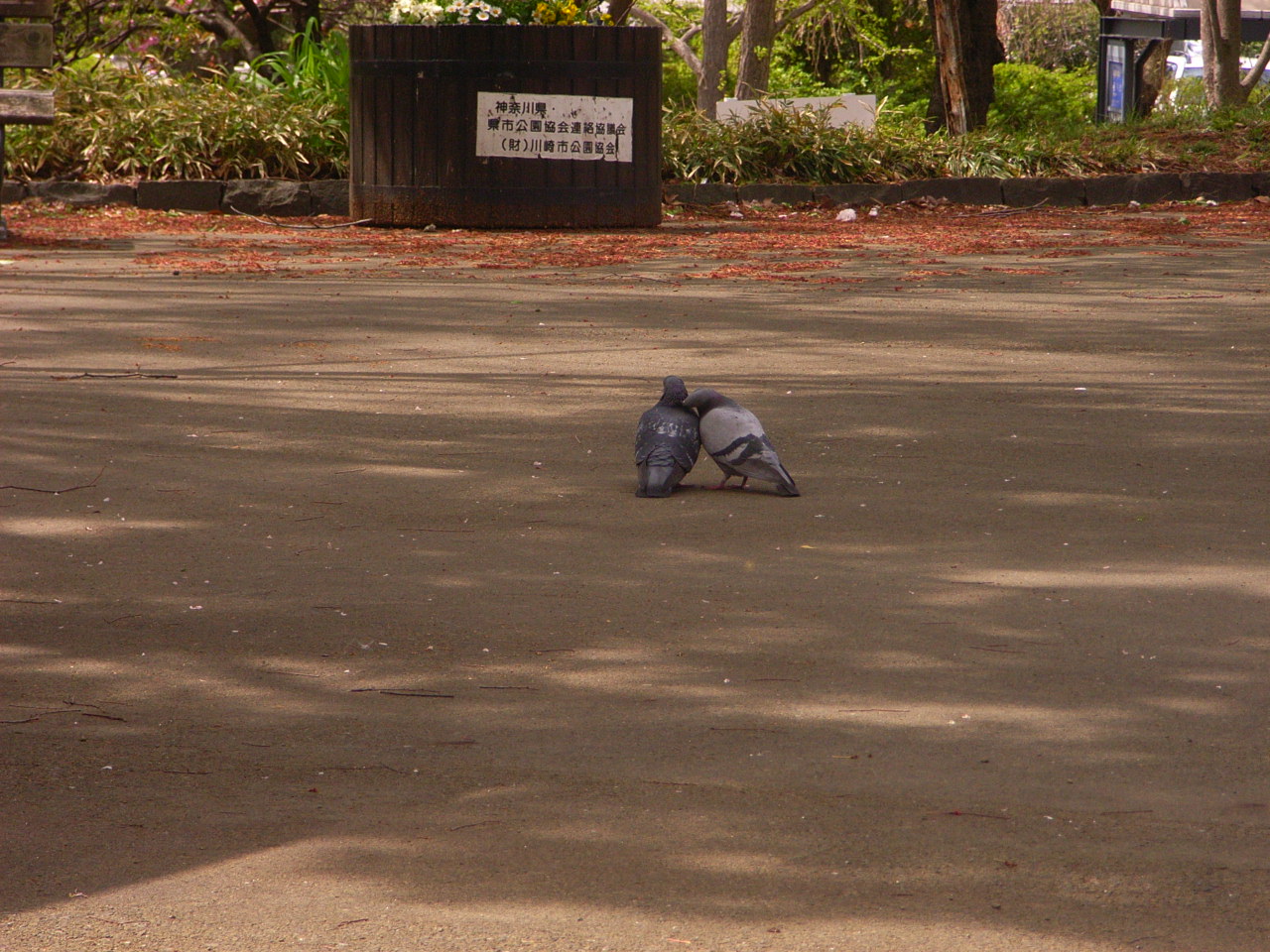 f0257756_11285.jpg