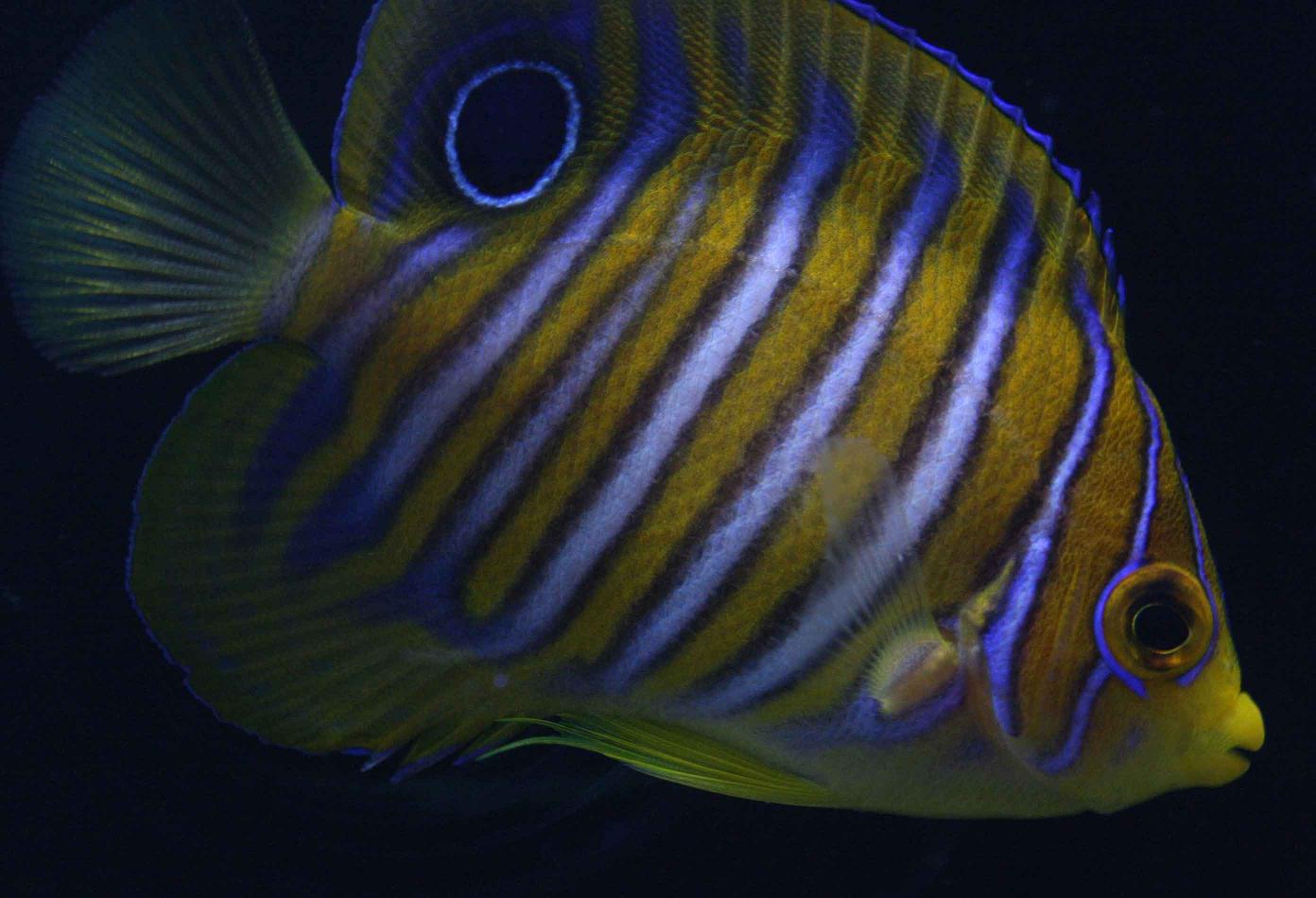 a0162261_17195498.jpg