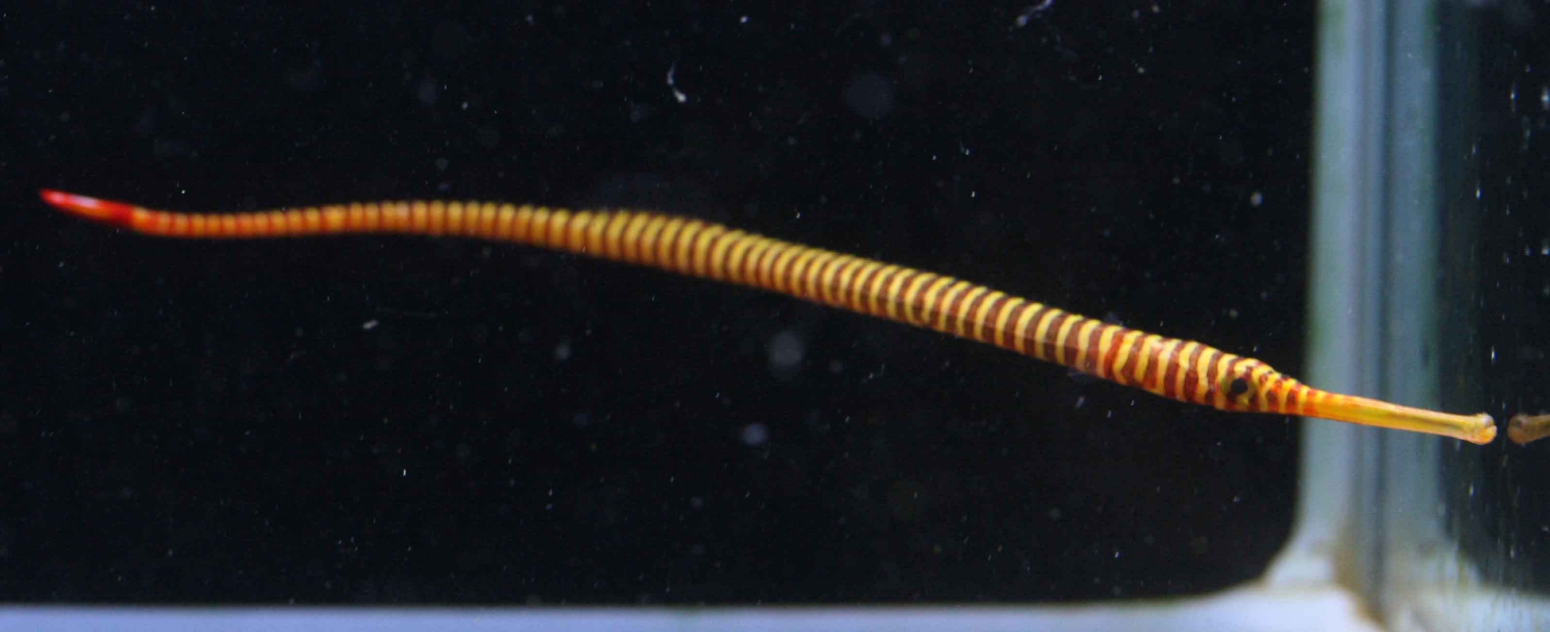 a0162261_17551239.jpg
