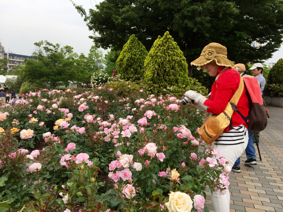 ばら祭   福山_a0050964_17544656.jpg