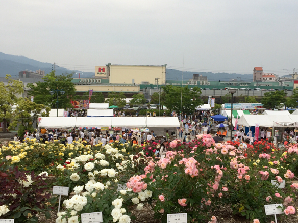 ばら祭   福山_a0050964_17544704.jpg
